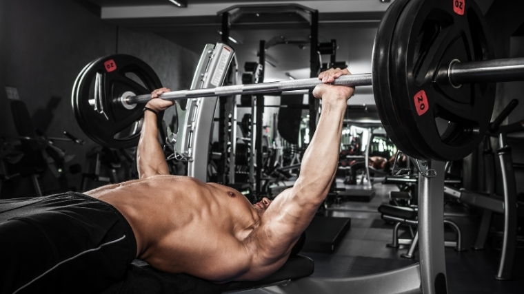 flat barbell bench press