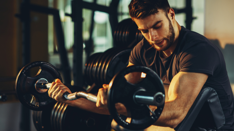 preacher curl