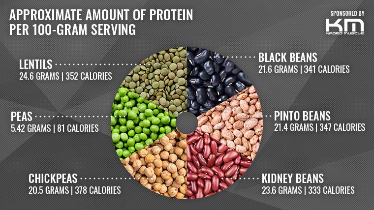 Approx Protein_Plantein