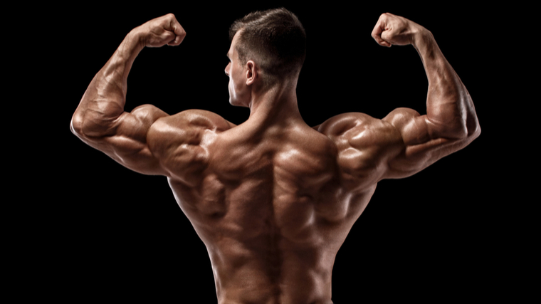 man flexing back and biceps 