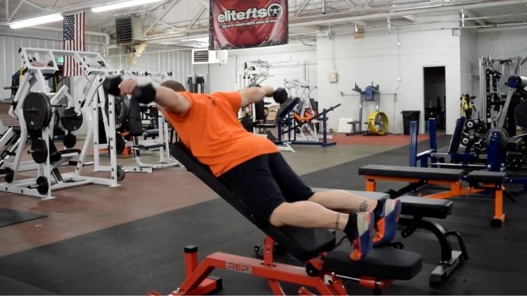 A person performs a dumbbell rear delt raise in the gym.