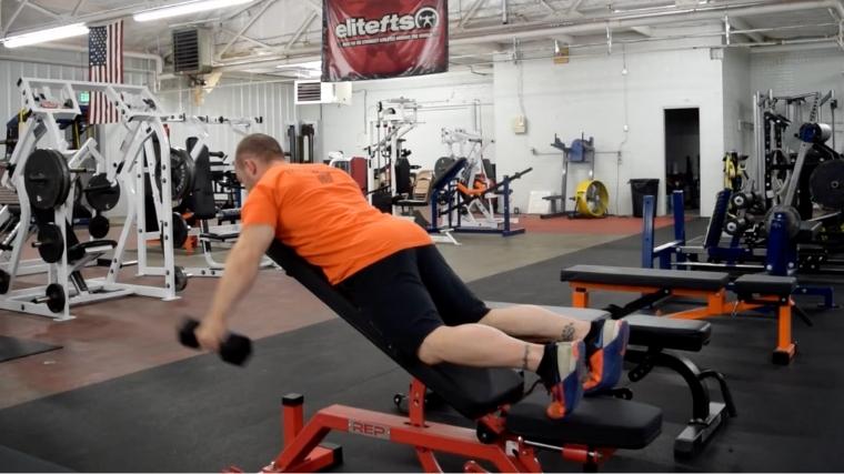 A person performs a dumbbell rear delt raise in the gym.