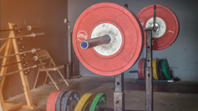 olympic weightlifting bar and plates 