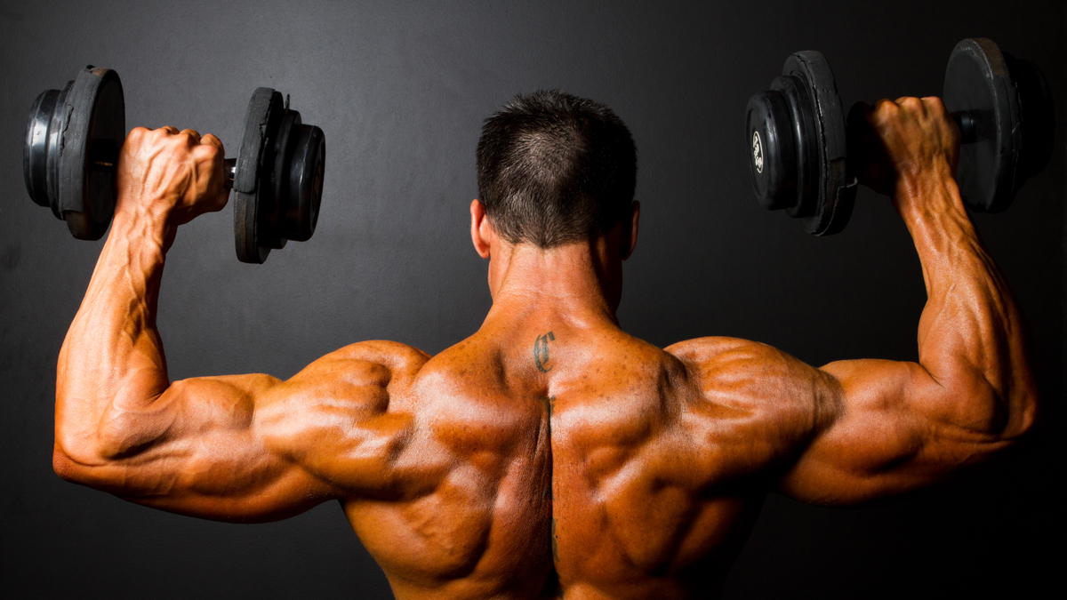 The Greatest Bodybuilding Shoulder Exercise, Personalized to Your Expertise Stage