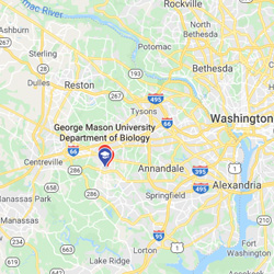 George Mason, Virginia