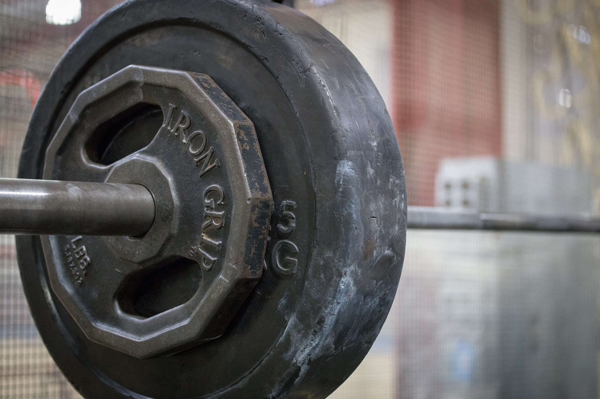 Barbell Squat