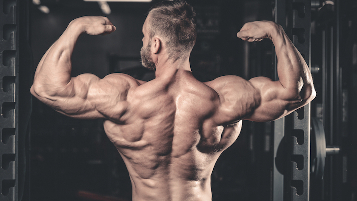 shoulder strengthening exercises