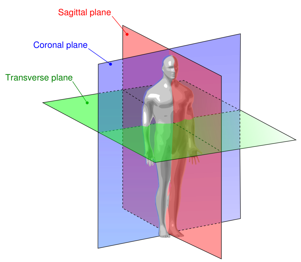 human-movement-planes