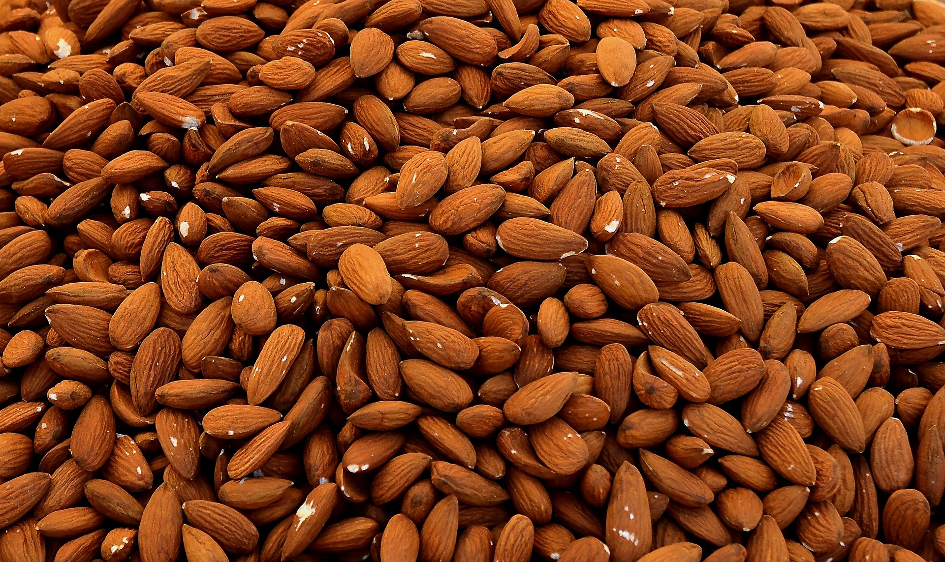 Vast fields of almonds