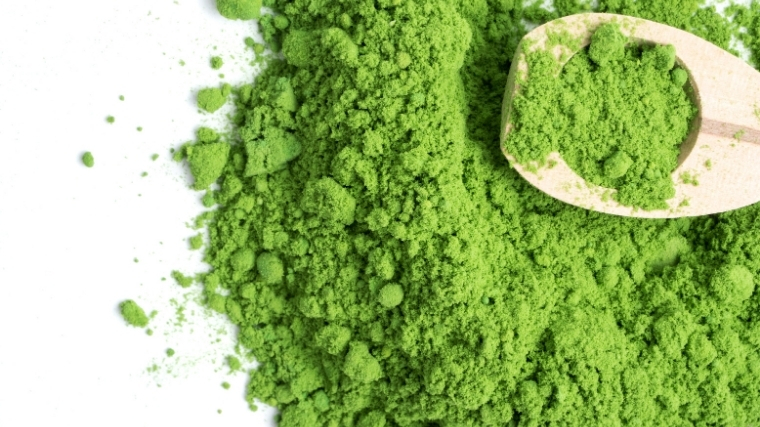 best greens powders