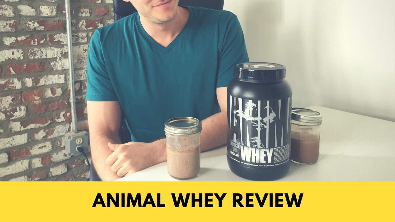 Animal Whey Protein Review — Good for More Than Bodybuilders? | BarBend