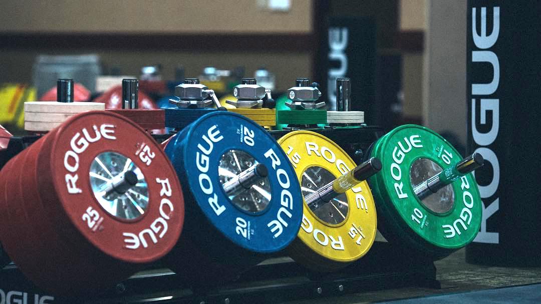 rogue fitness stationary bike