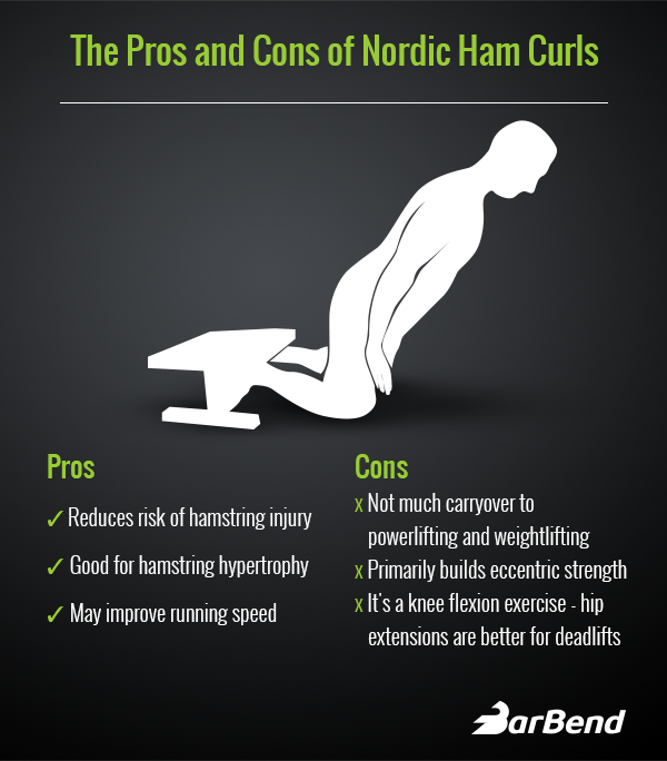 Tålmodighed Proportional Pelmel The Nordic Ham Curl: Pros, Cons, and Benefits | BarBend