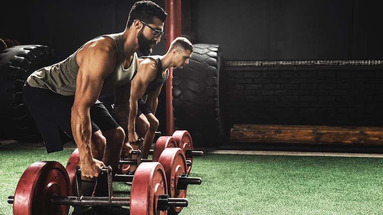 a couple of athletes getting ready to perform a farmers walk indoors on faux grass