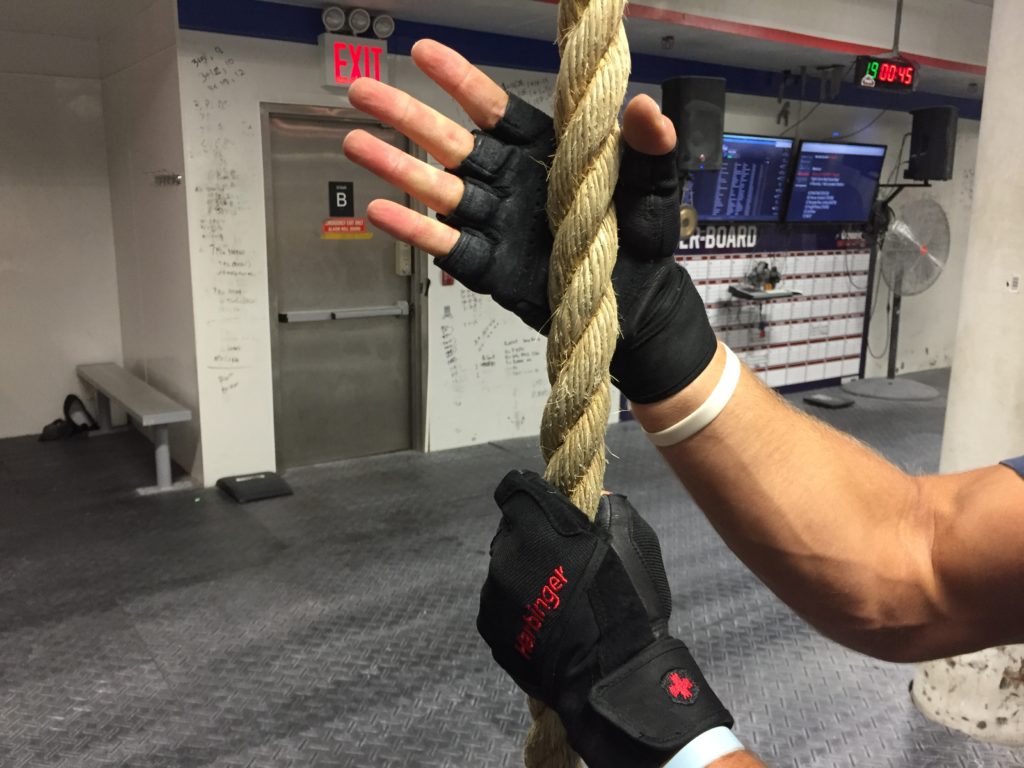 Harbinger Pro Wristwrap Gloves Review