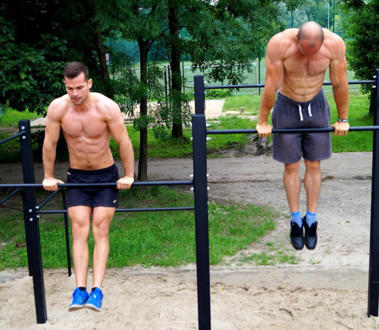 Postbode kaas Oppositie Ring Dips vs Bar Dips: Which Dip Is Best for You? | BarBend