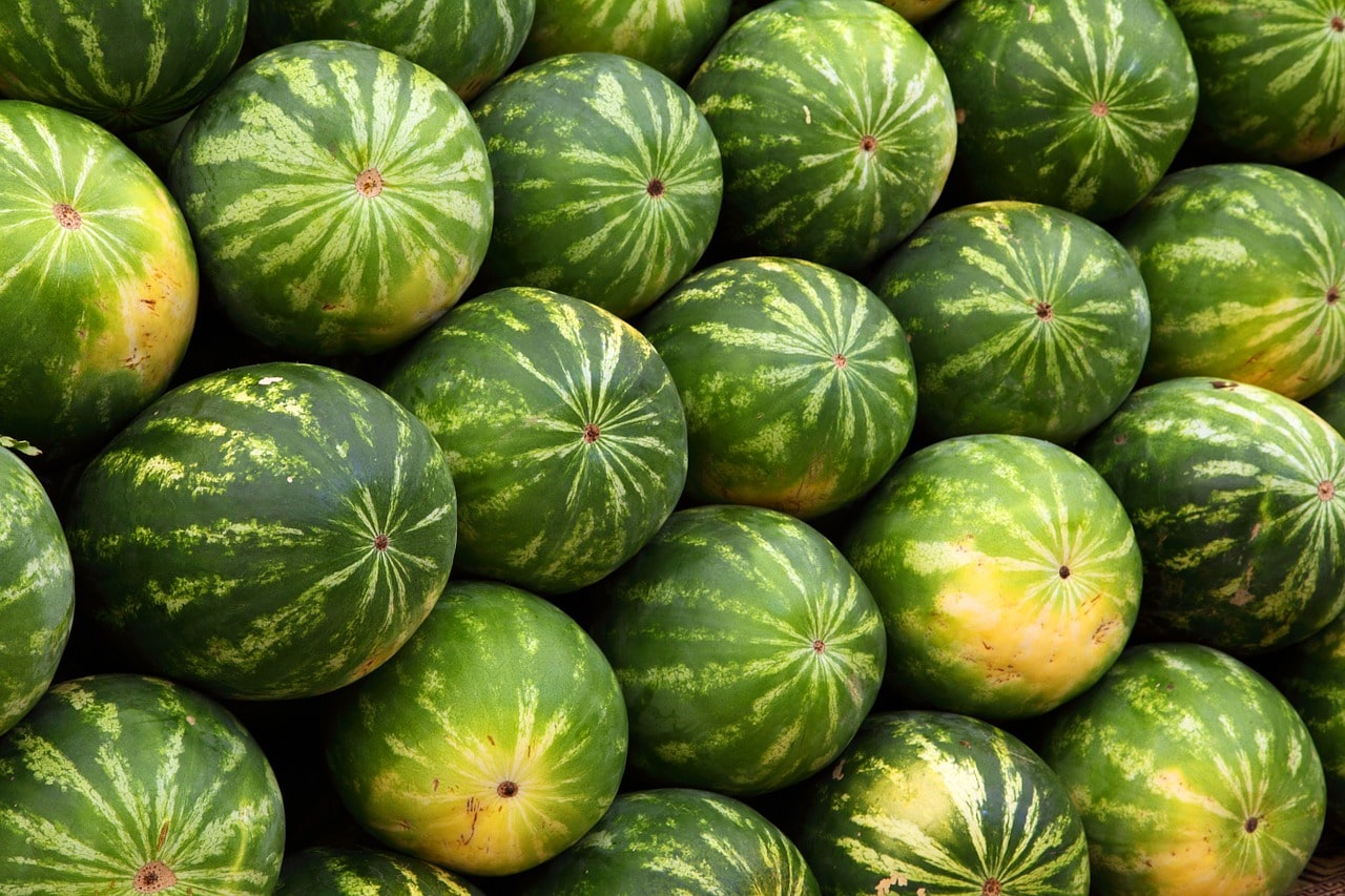 watermelons