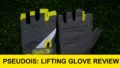 Pseudois Lifting Gloves