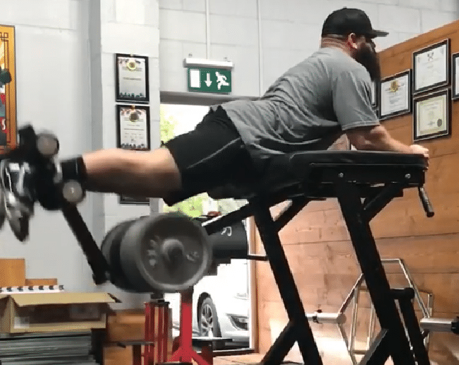 Reverse Hyperextension Guide — Muscles Worked Variations 59 Off