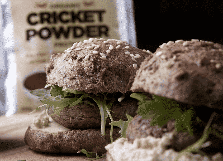 cricket flour burger