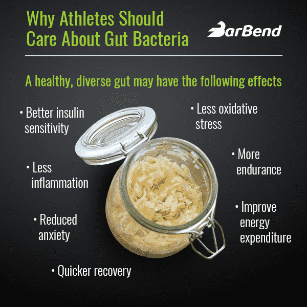 Athletes and probiotics