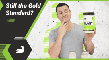 ON Gold Standard Plant Based Protein