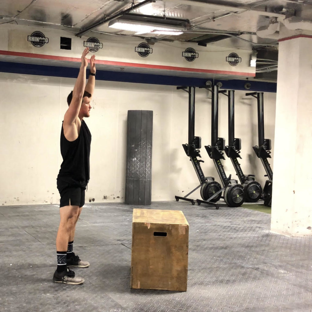 Box Jump Exercise Guide Barbend