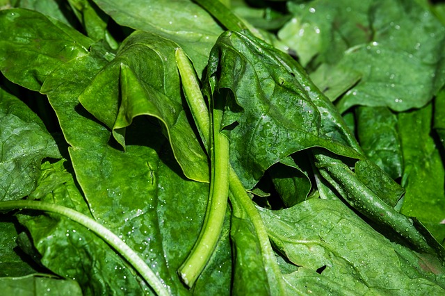 spinach