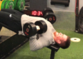 Decline Bench Press Exercise Guide