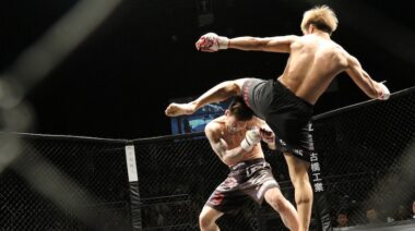 mma kick