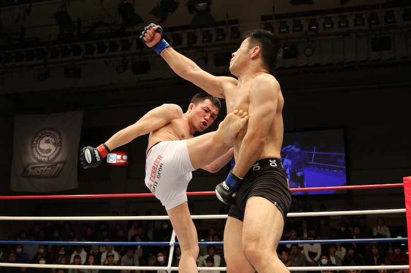 mma kickboxing kick free