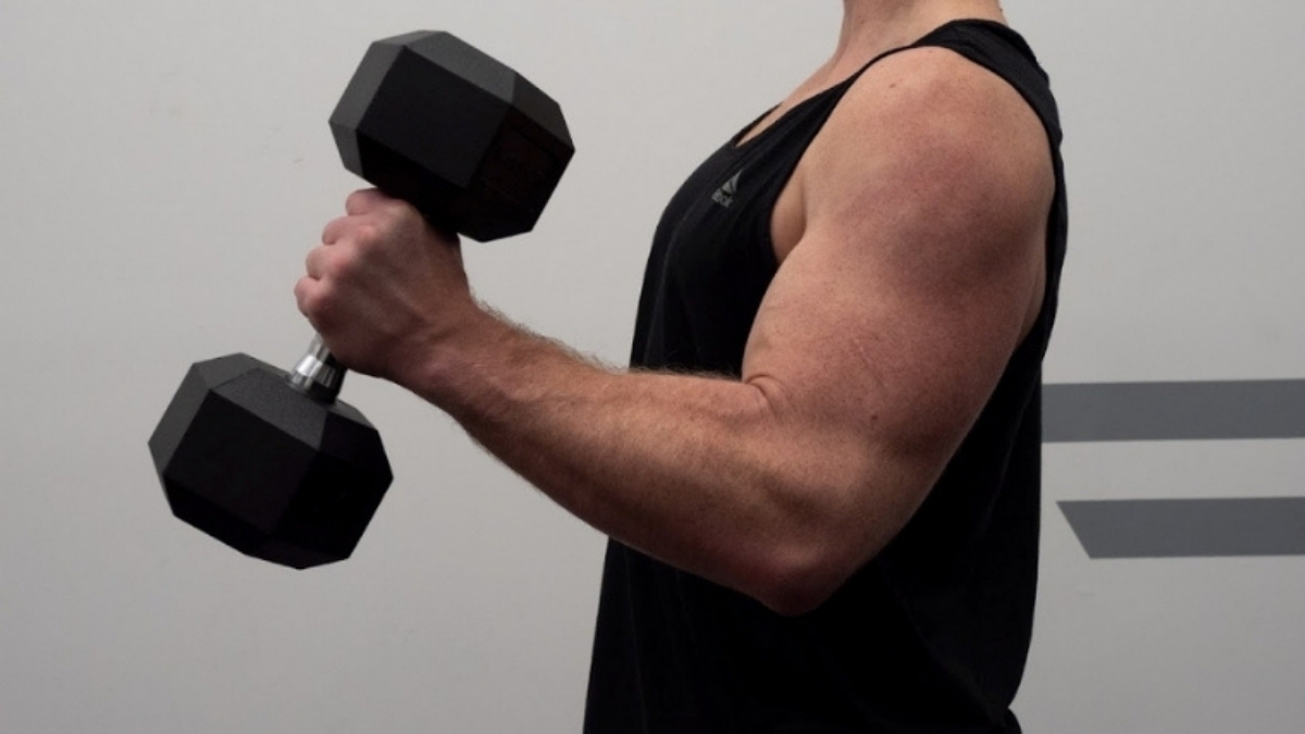 X-Body Hammer Curl - Muscle & Fitness