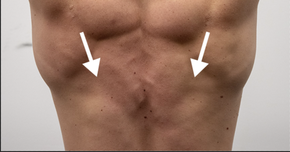 Chin Ups Muscles Worked Chart