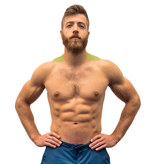 trapezius exercises for men