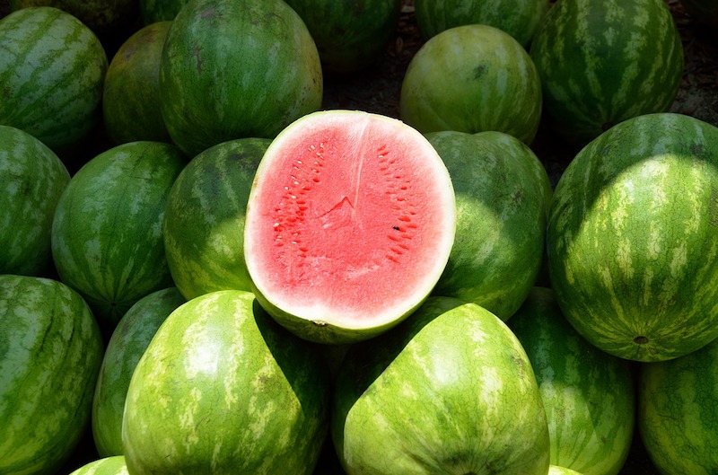 watermelon