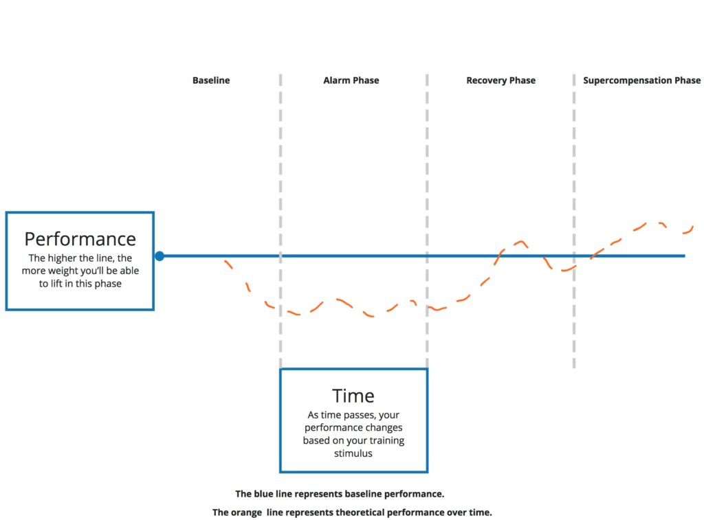 General Adaptation Syndrome Graph