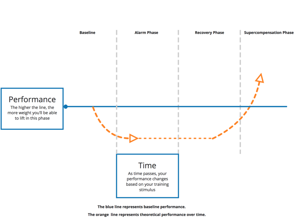 Lifting General Adaptation Syndrome Graph