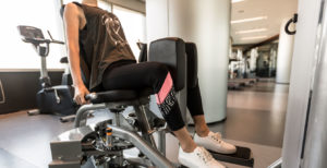 adductor