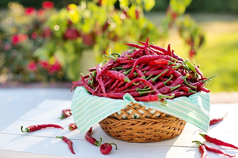 cayenne peppers dry