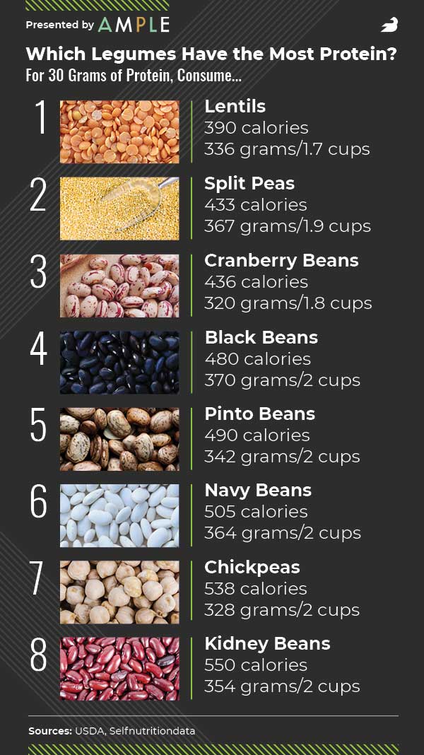 highest protein legumes