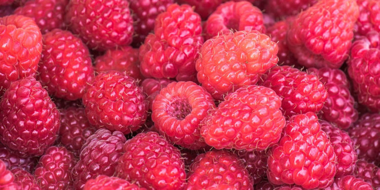 raspberries