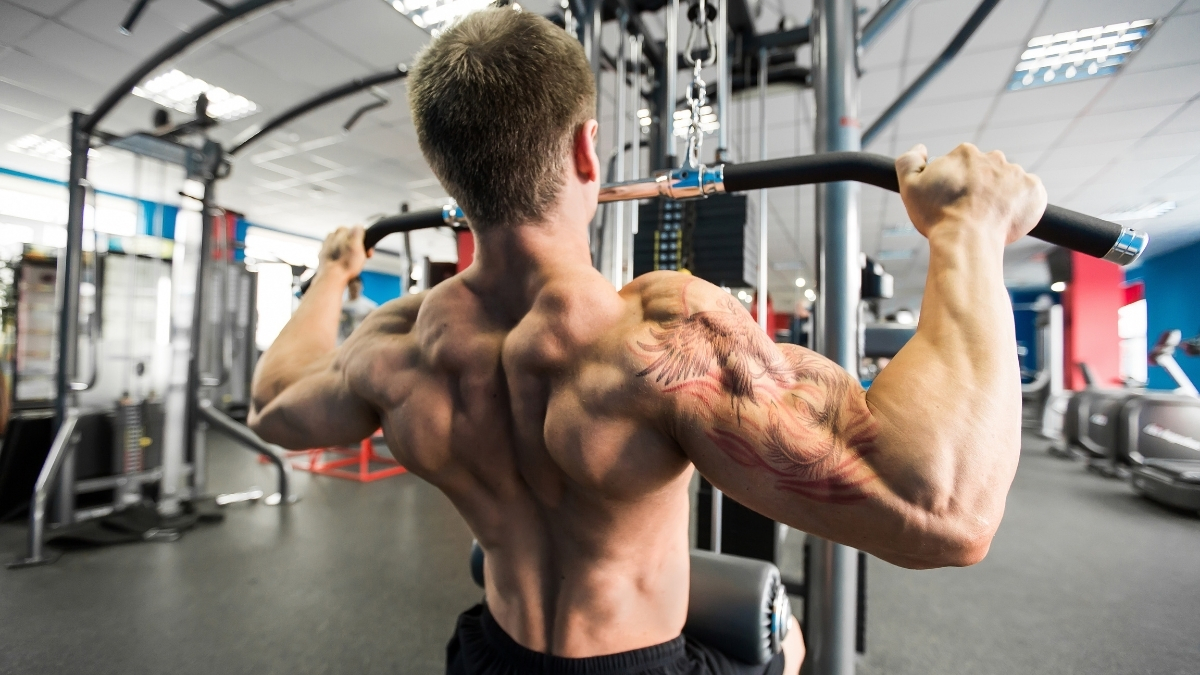 The 7 Best Back Exercises for Strength and Muscle Gain BarBend