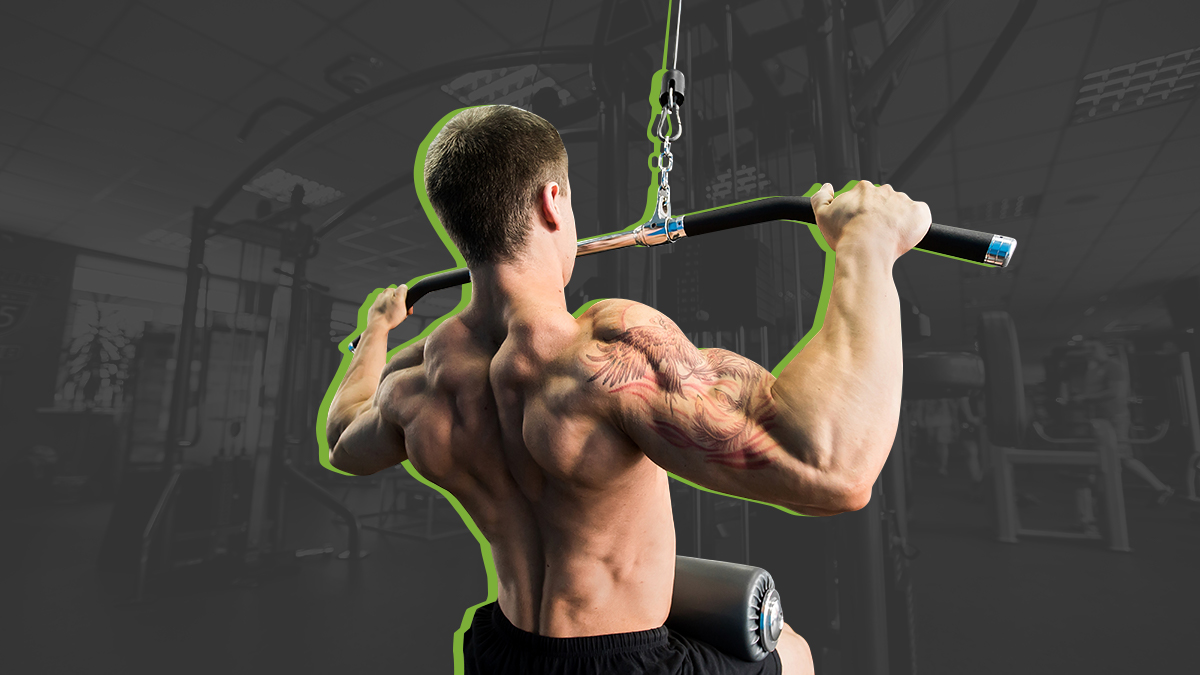 The 7 Best Back Exercises For Strength And Muscle Gain Barbend