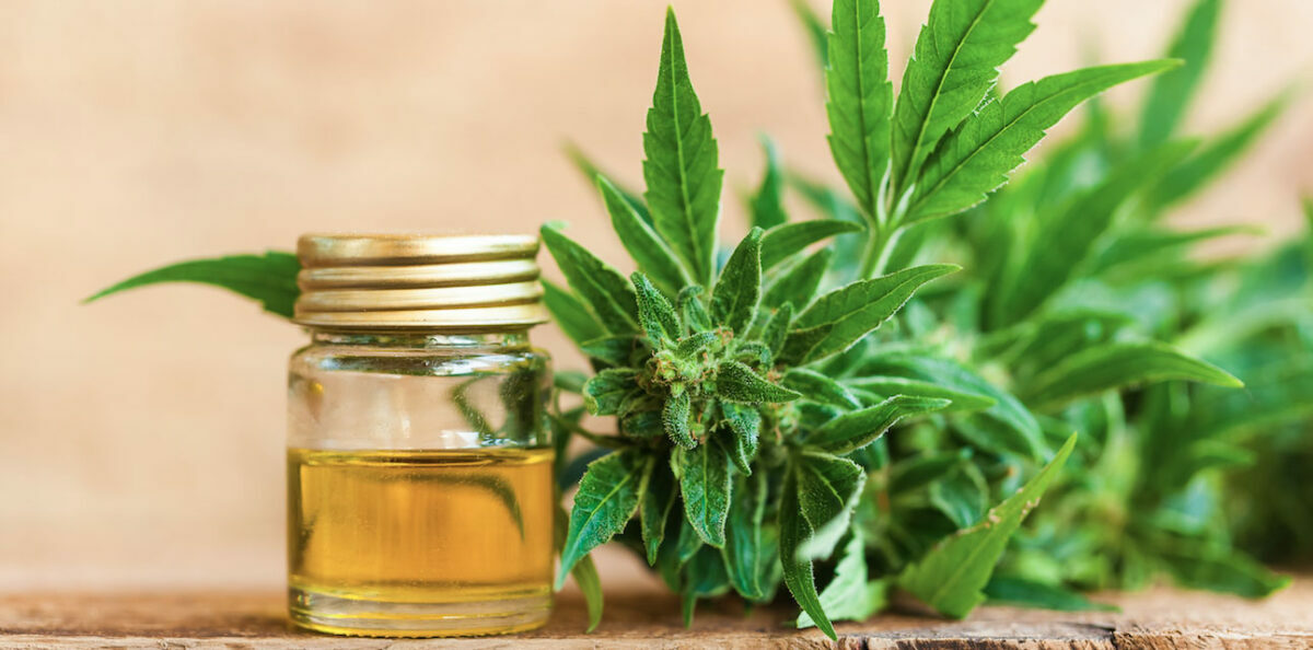 GNC Has Officially Started Selling CBD Supplements BarBend