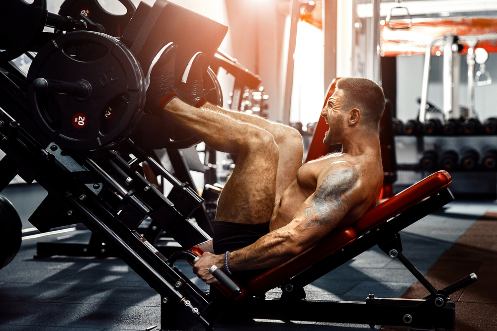 verkoudheid hop Lijm Leg Press Guide — Muscles Worked, How to Program, and More