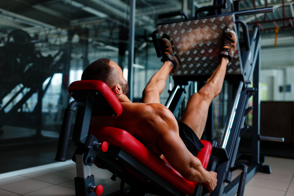 seated leg press diagram