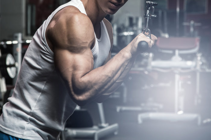 Biceps, Triceps, Forearms » Workout Routine Created By John Mcclain