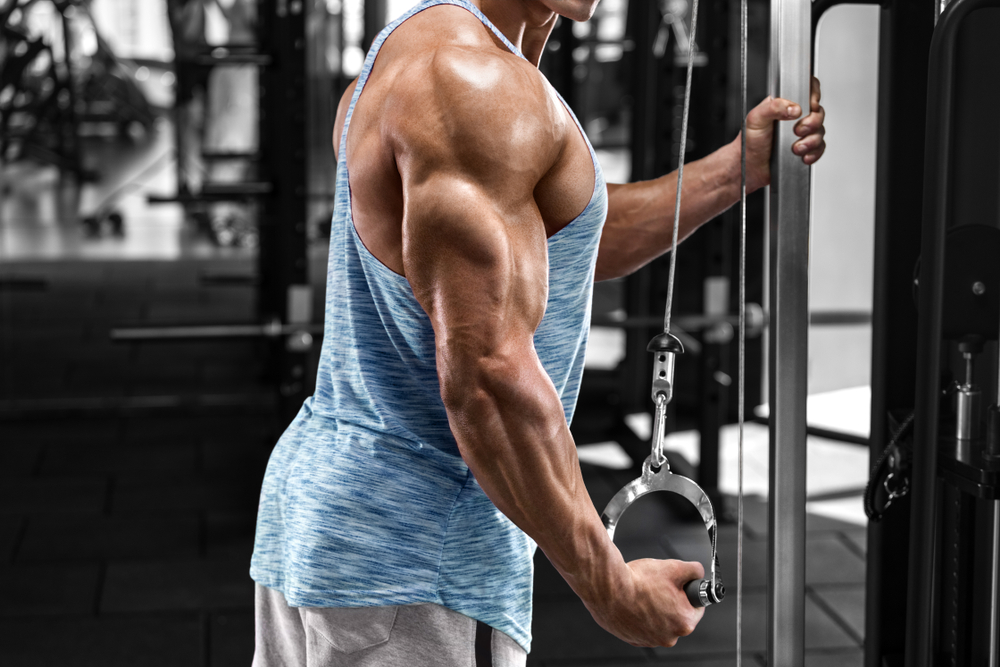 Why Train the Triceps?