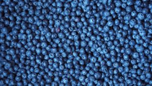 blueberries