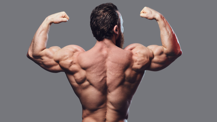 The Best Back Exercises For Strength And Muscle Gain Barbend